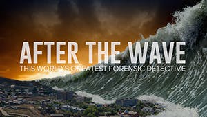 After the Wave: The World's Greatest Forensic Detective Story