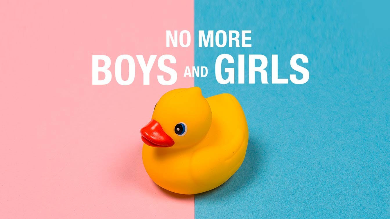 No More Boys and Girls
