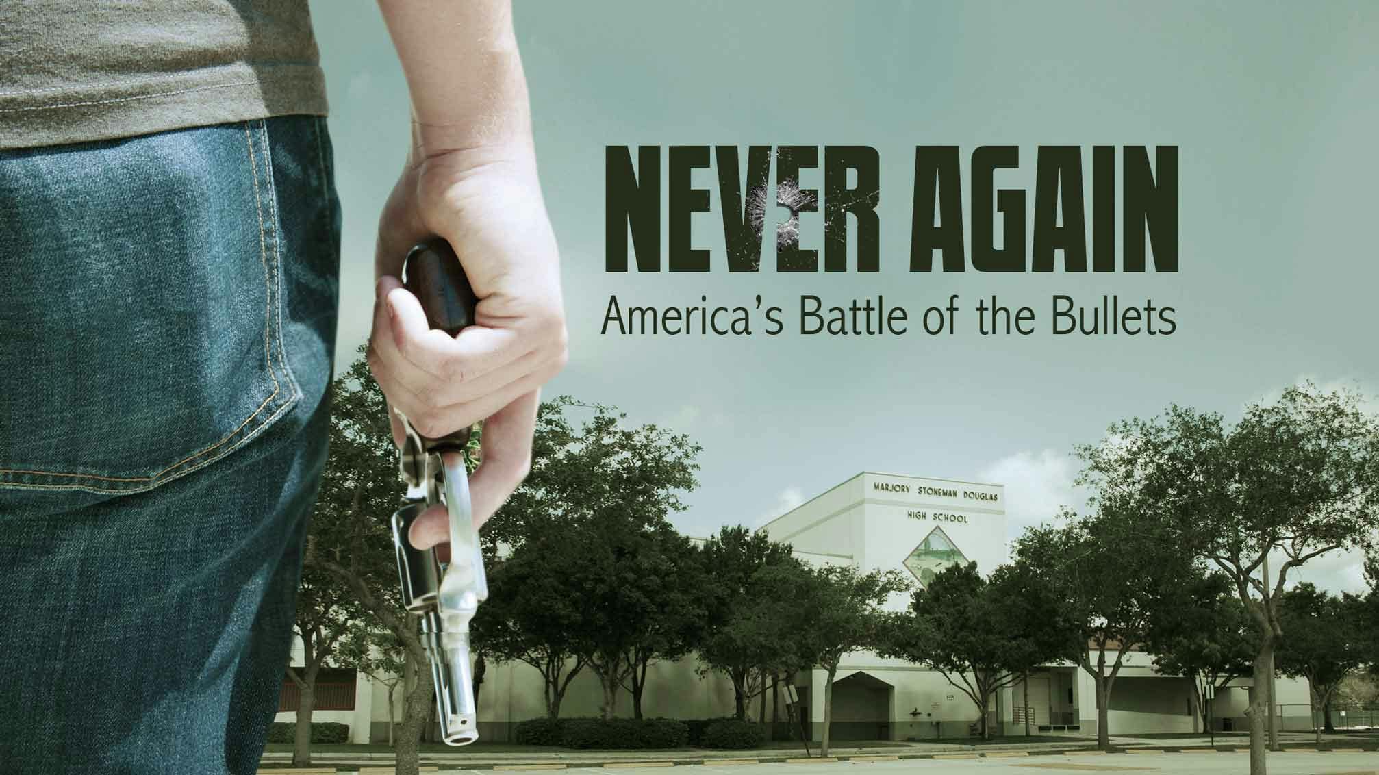 Never Again: America's Battle of the Bullets