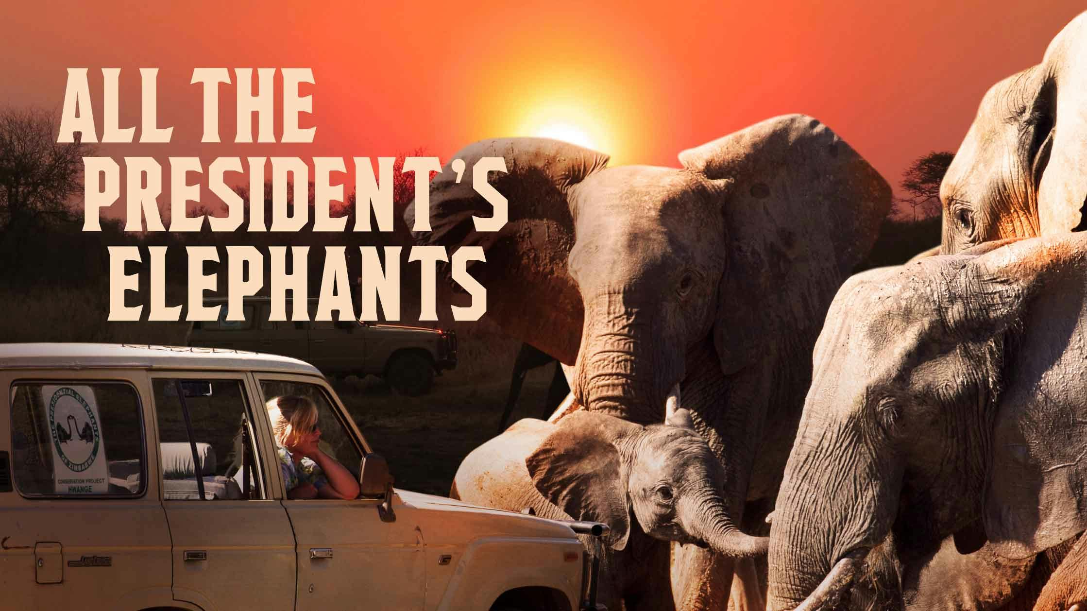 All The President's Elephants