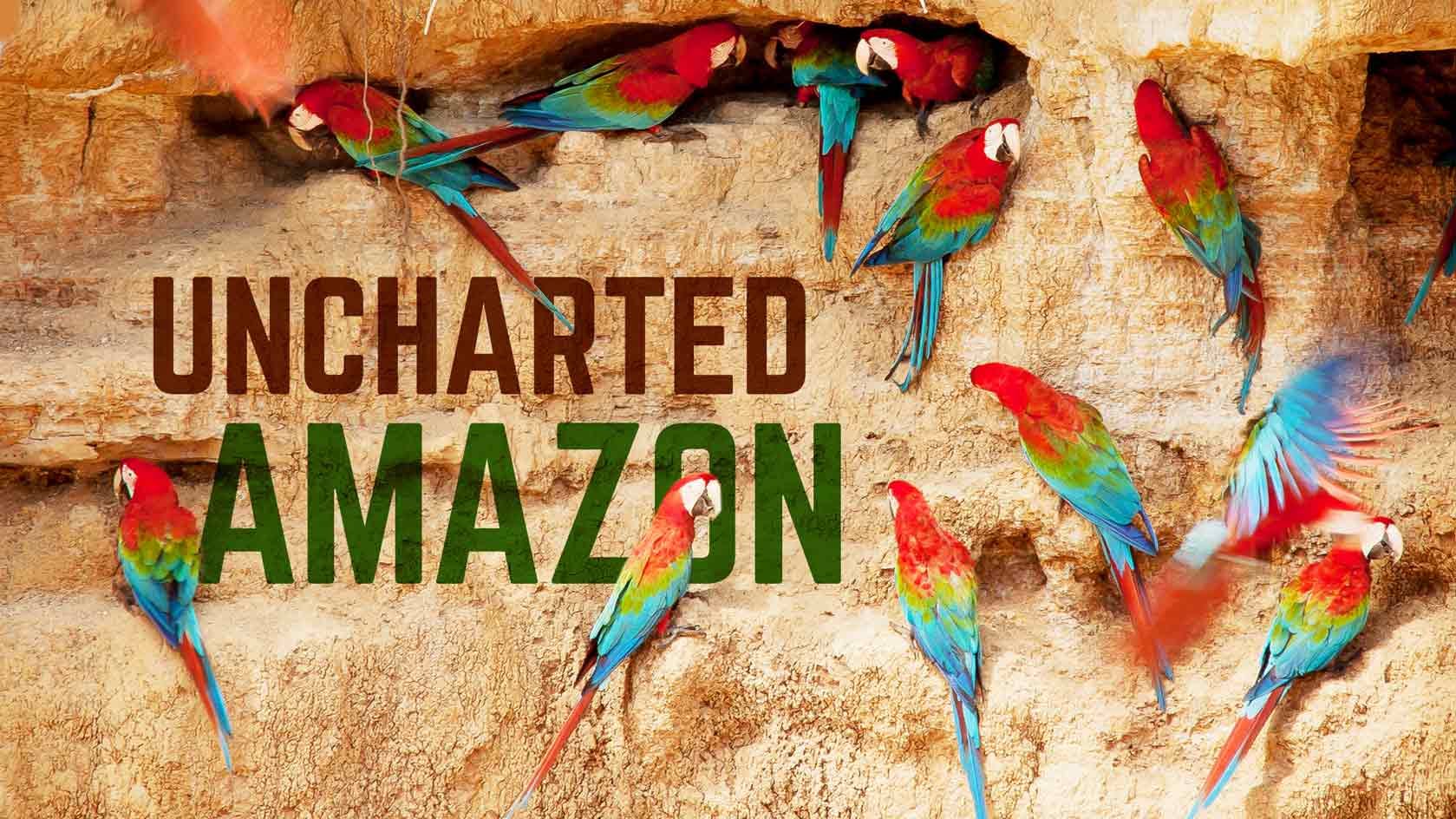 Uncharted Amazon