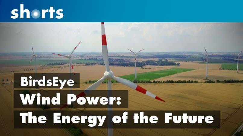 Bird's Eye: Wind Power the Energy of the Future