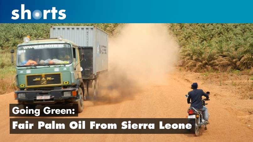 Going Green: Fair palm oil from Sierra Leone