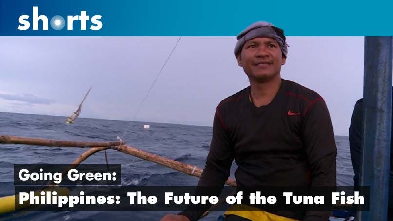 Going Green: Philippines the future of the tuna fish
