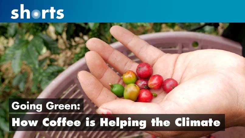 Going Green: Costa Rica How Coffee is Helping the Climate