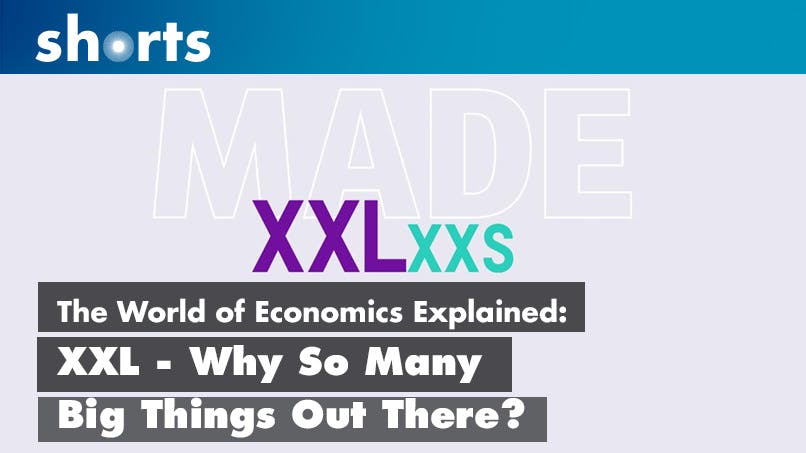 The World of Economics Explained: XXL - Why So Many Big Things Out There?