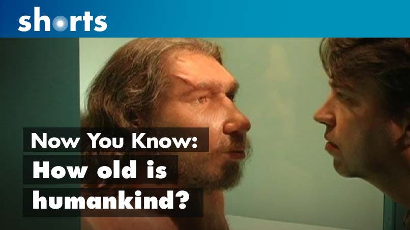 Now You Know: How old is humankind?