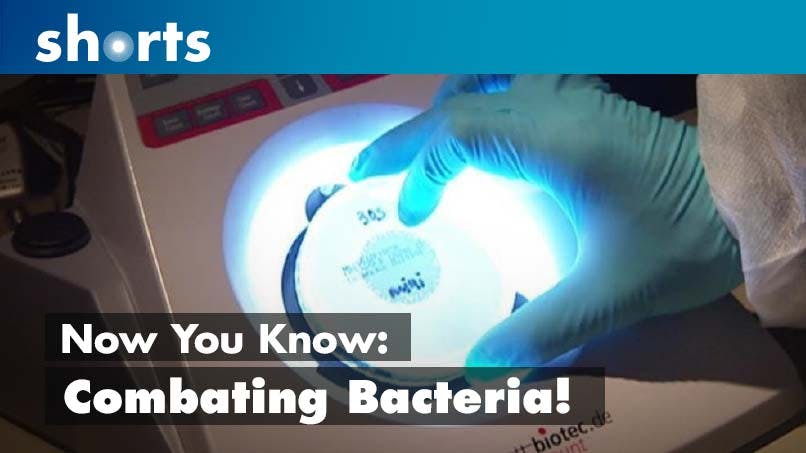 Now You Know: Combating Bacteria?