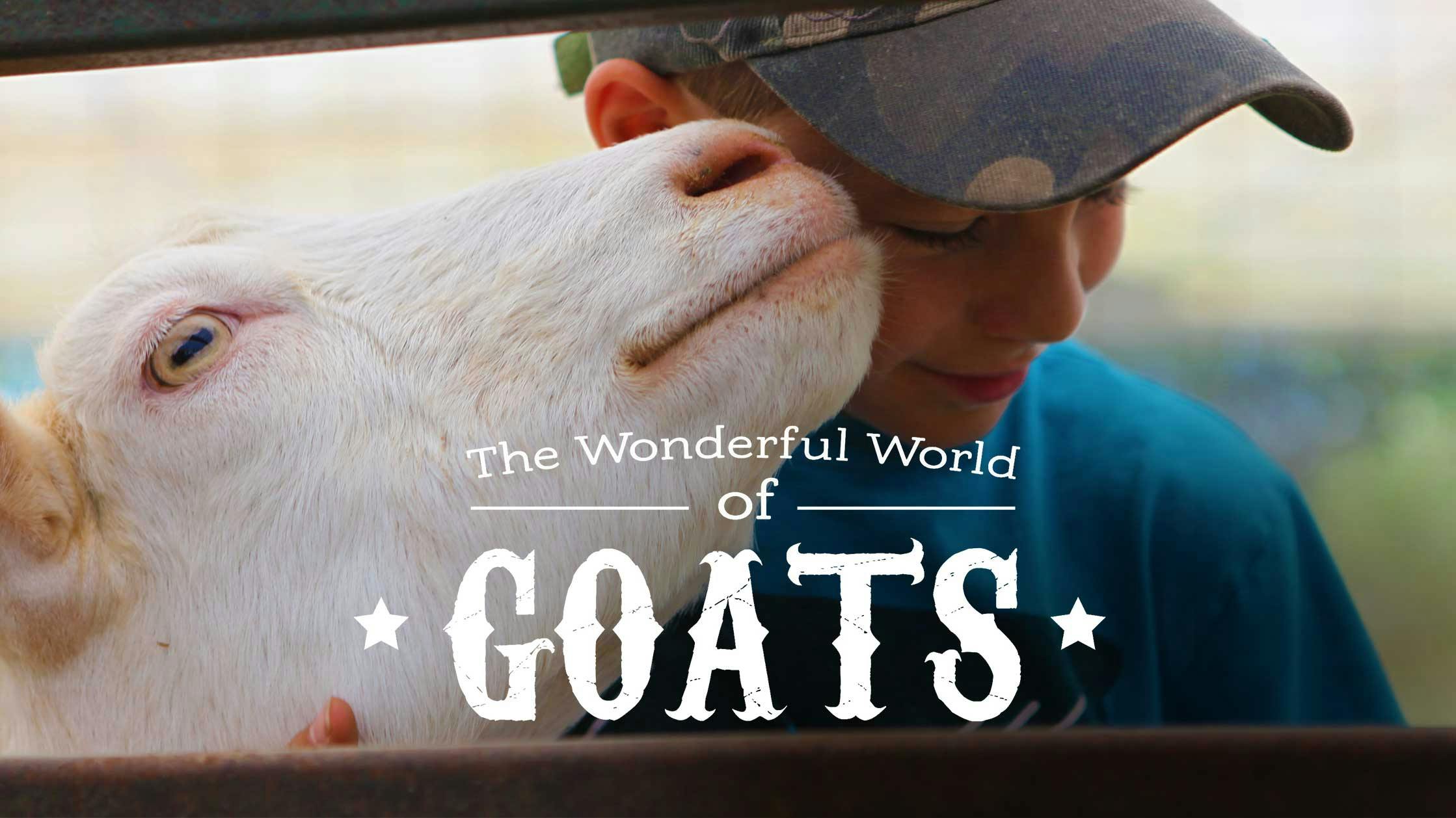 The Wonderful World Of Goats